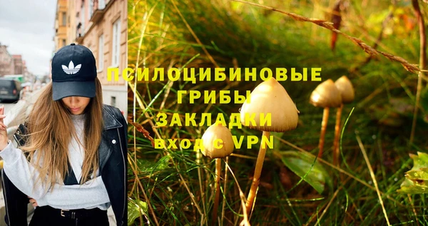 крисы Вяземский